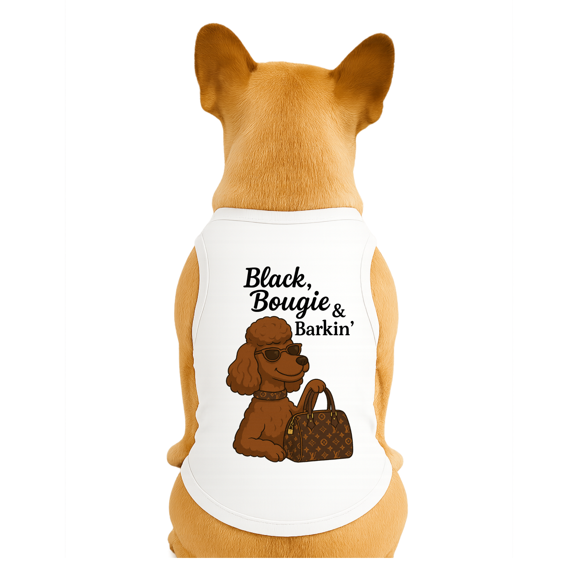 Black, Bougie & Barkin’