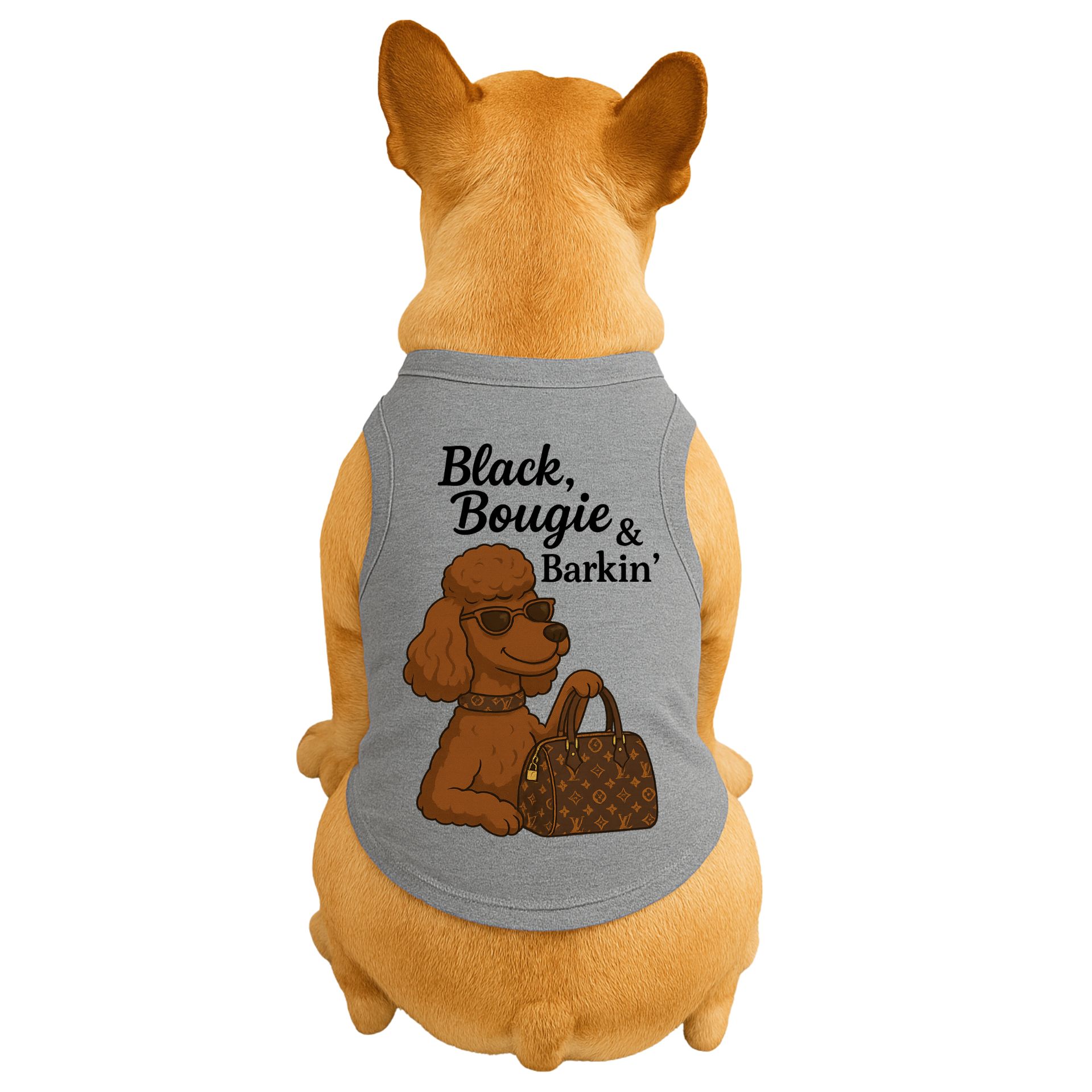 Black, Bougie & Barkin’