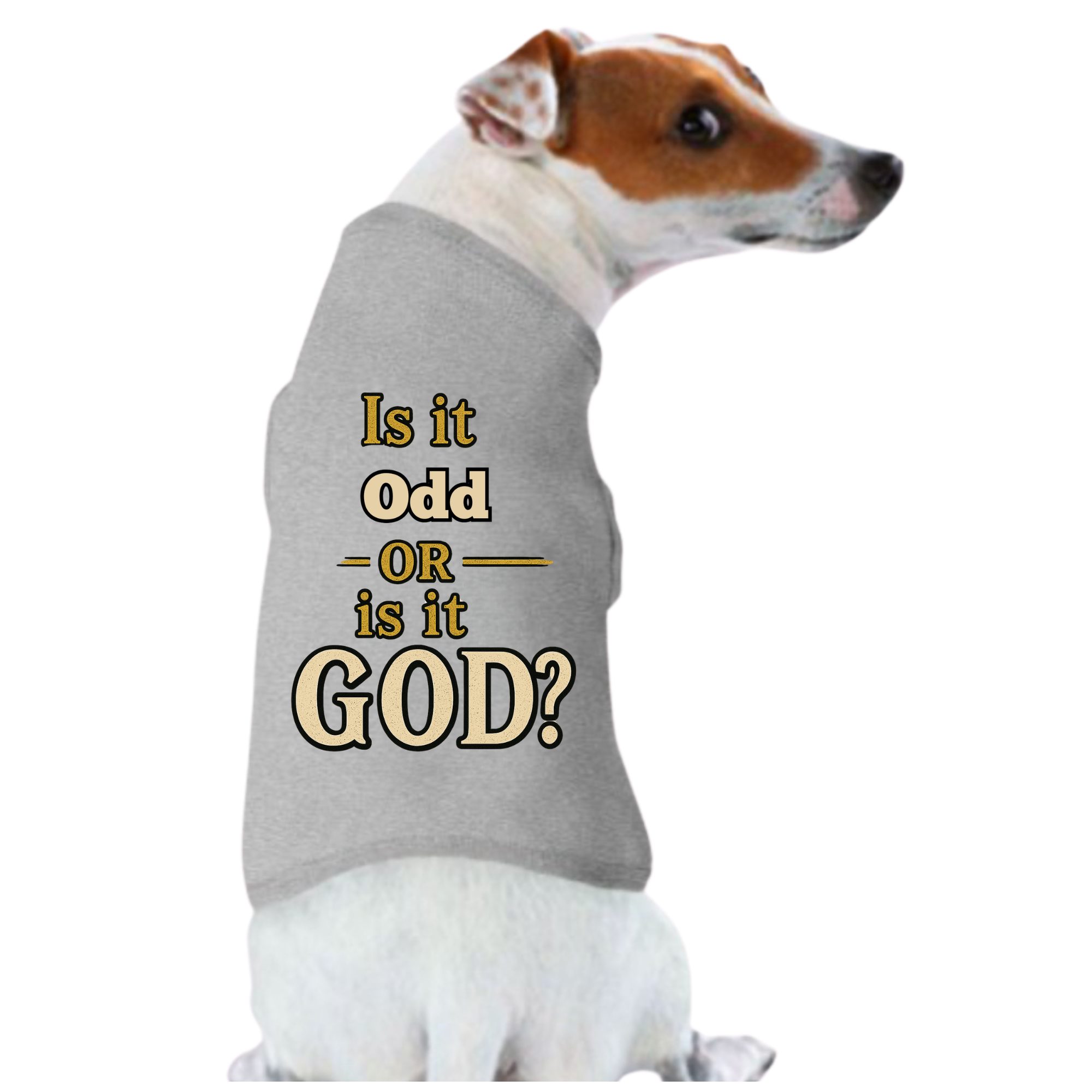Is It Odd or is it God ?