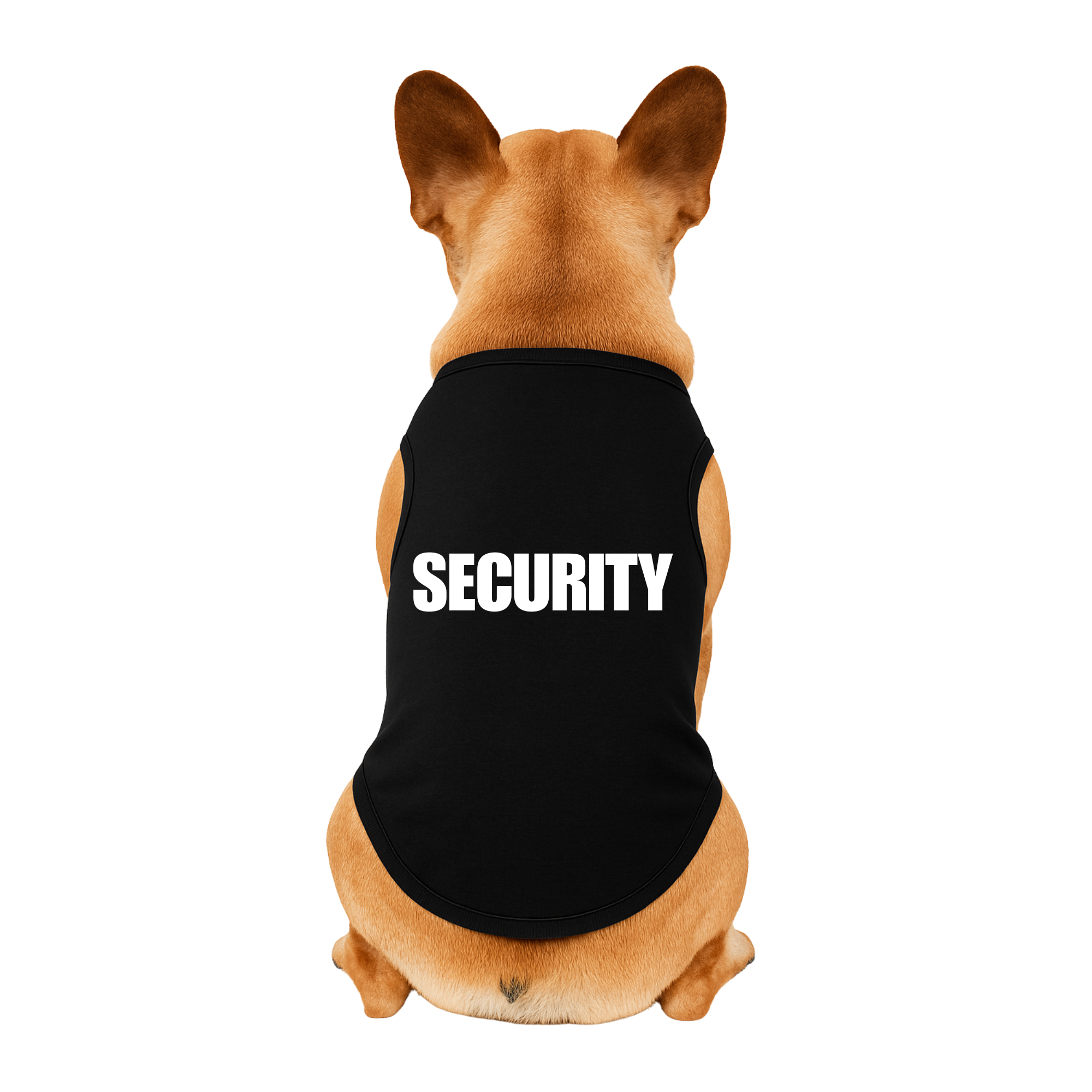 Chuckle Shirts: Security