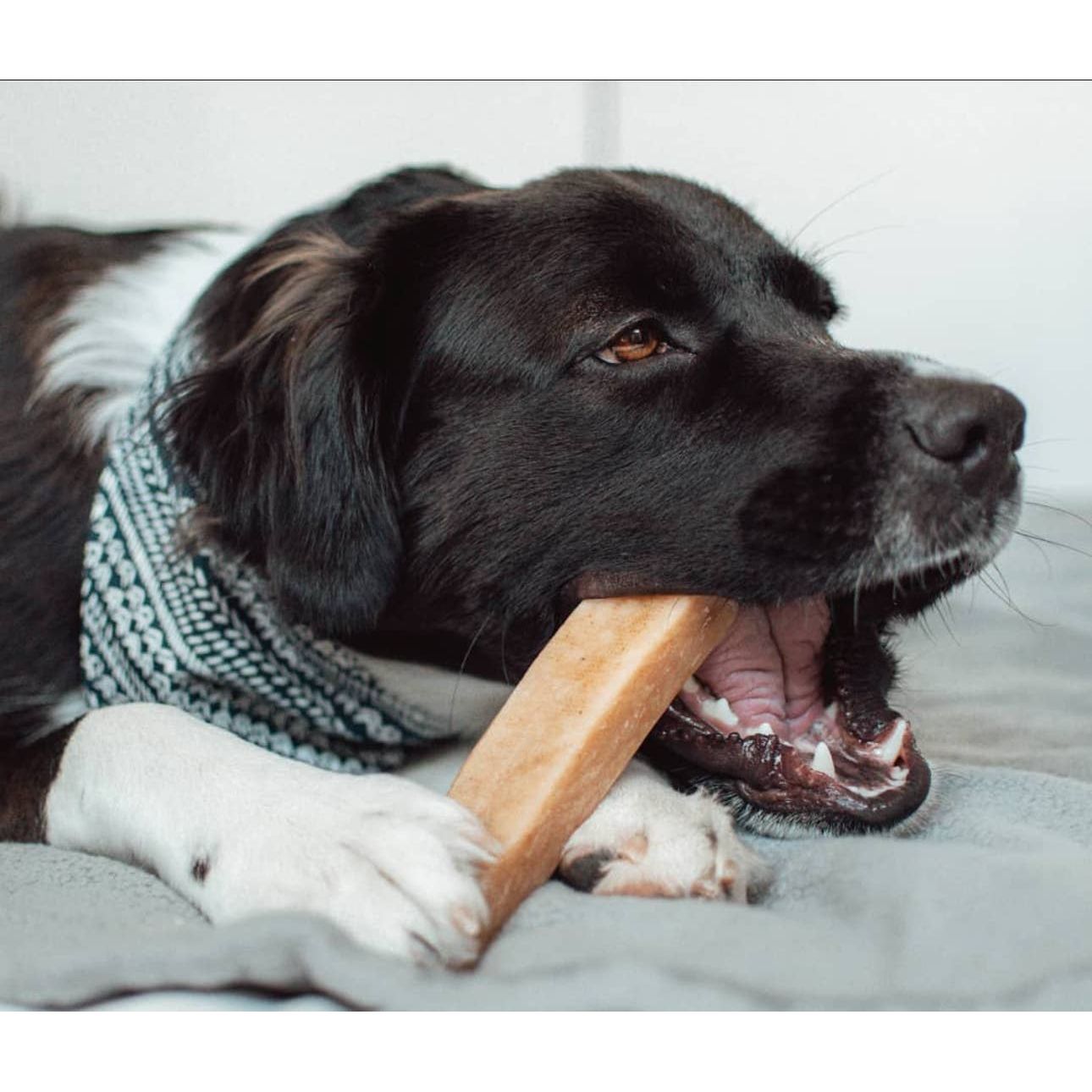 3 lb Yeti Chew Coconut - PetStoreNMore