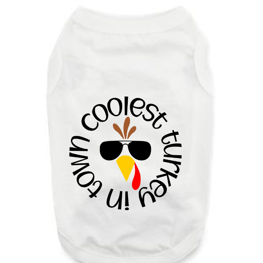 Funny Thanksgiving Tee Shirts- Coolest Turkey
