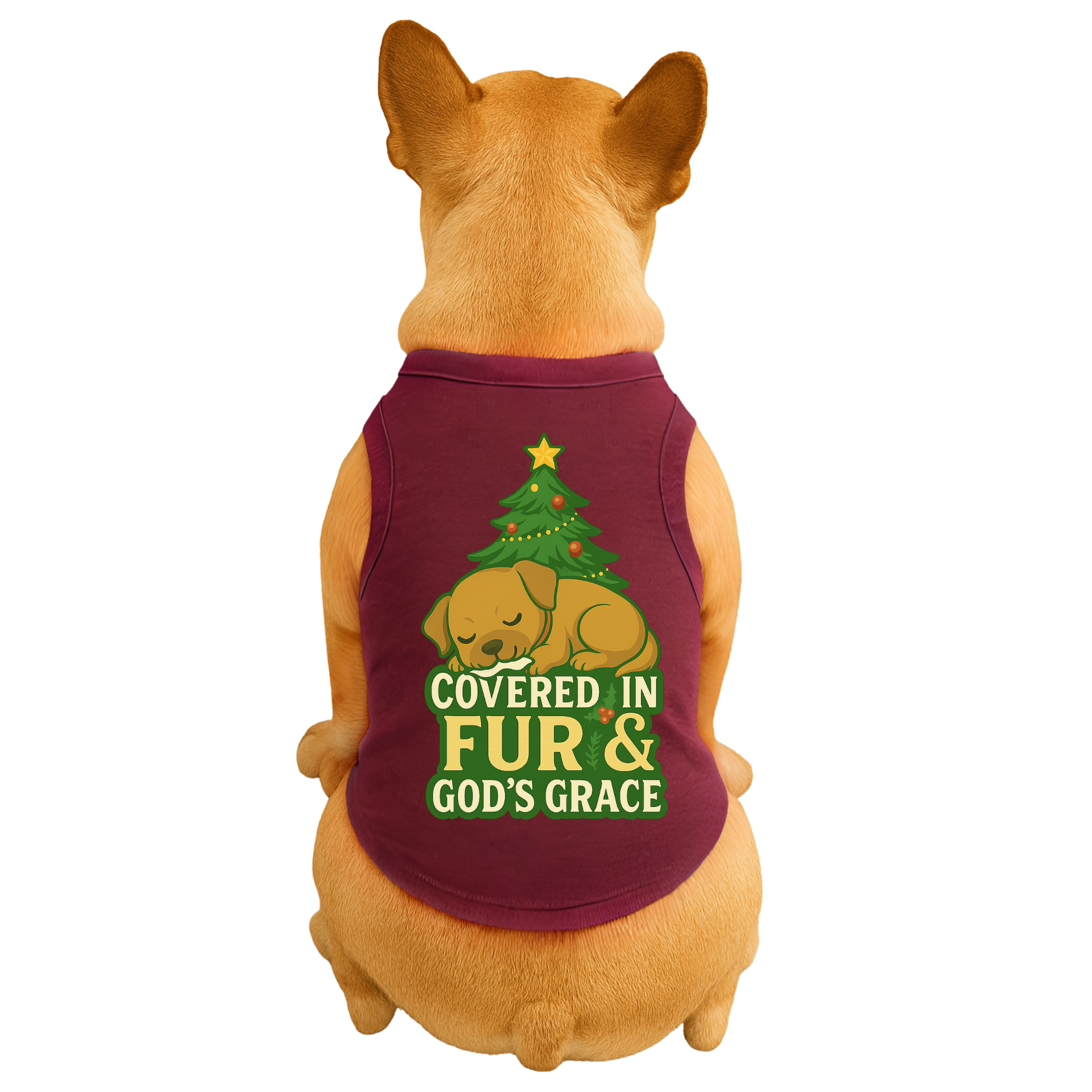 Covered in Fur & God's Grace