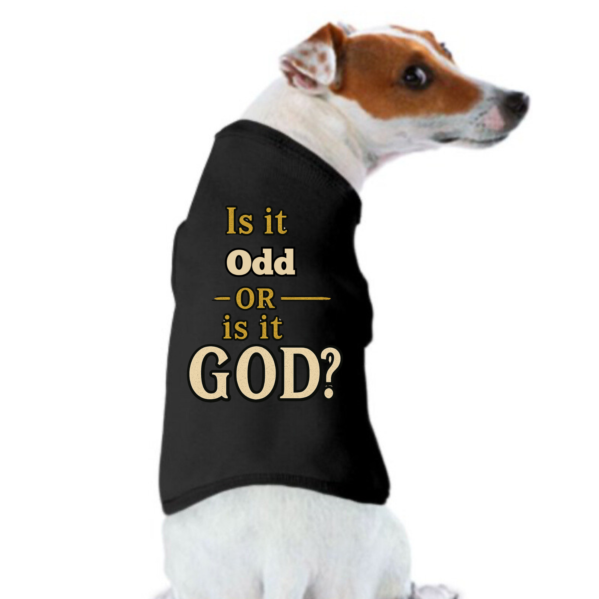 Is It Odd or is it God ?