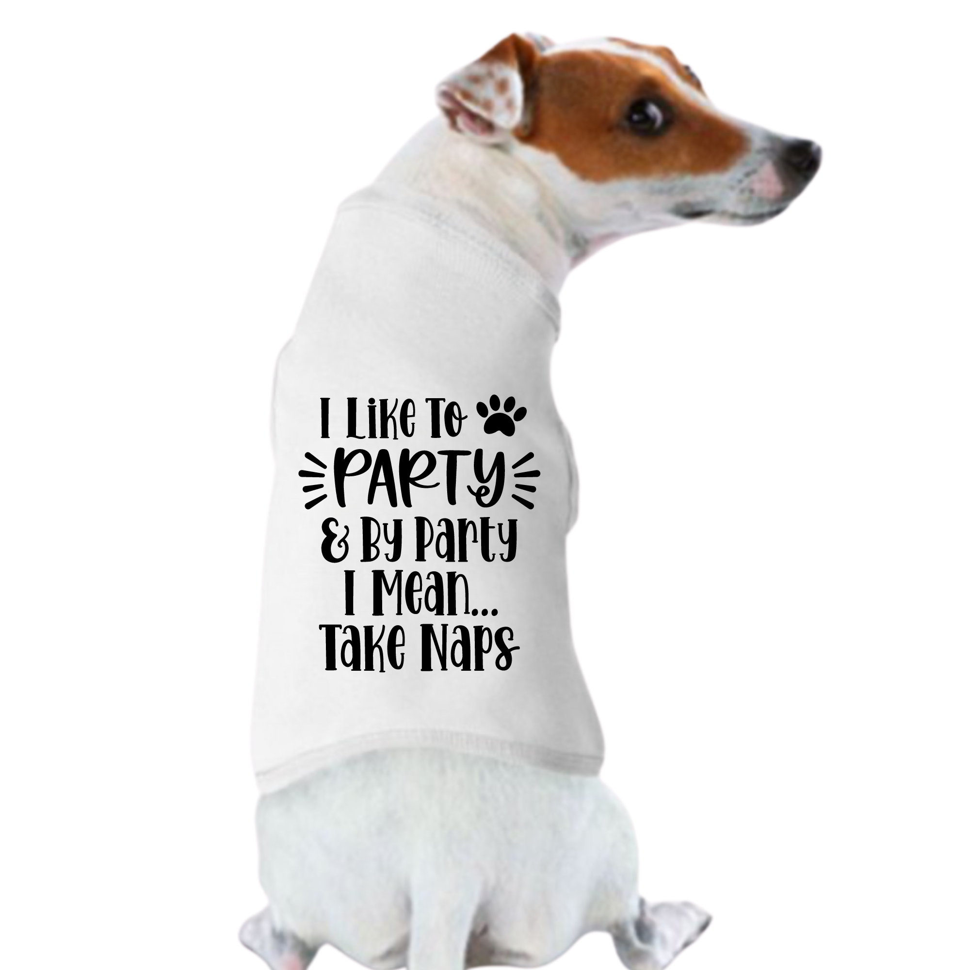 Funny: I Like To Party