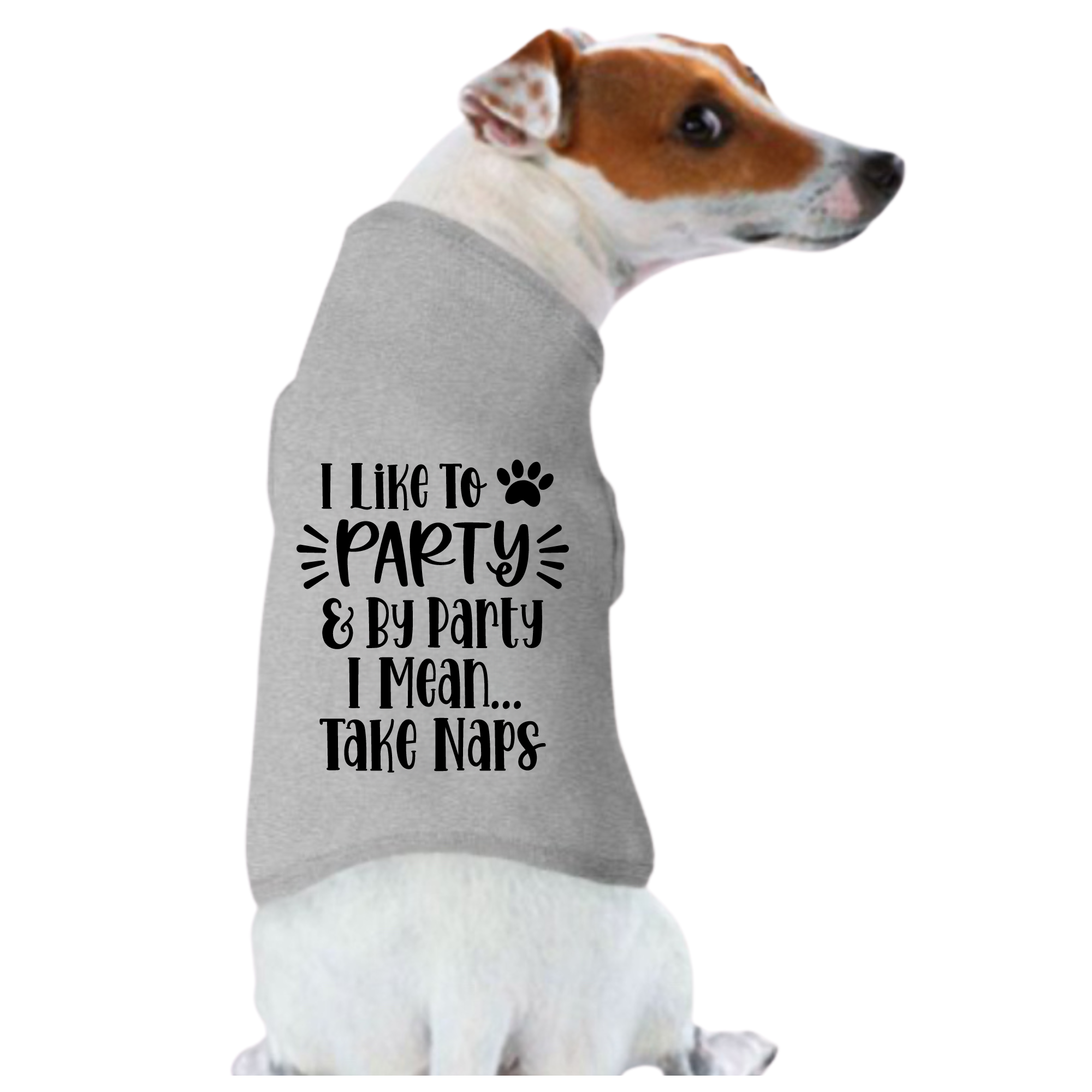 Funny: I Like To Party