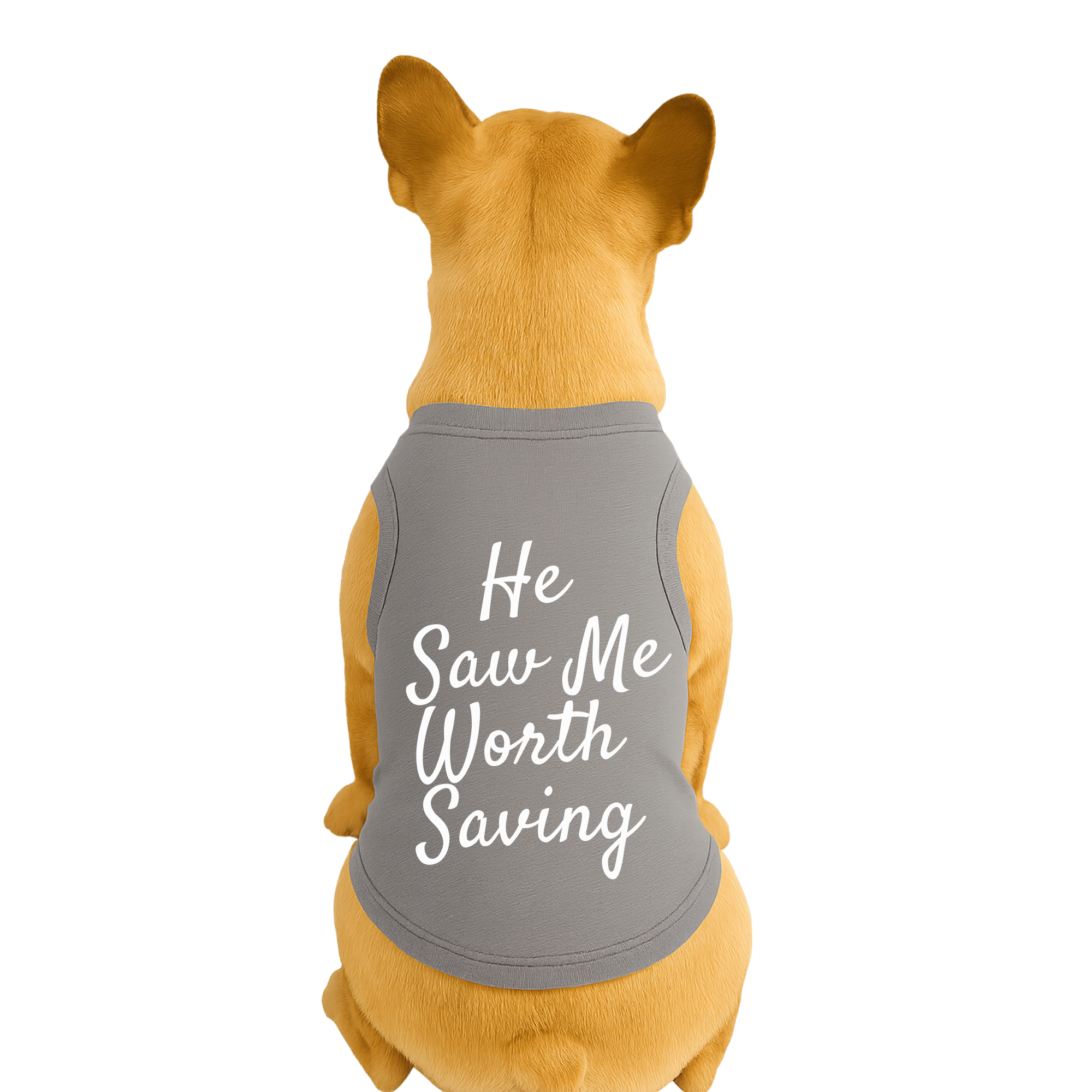 He Saw Me Worth Saving