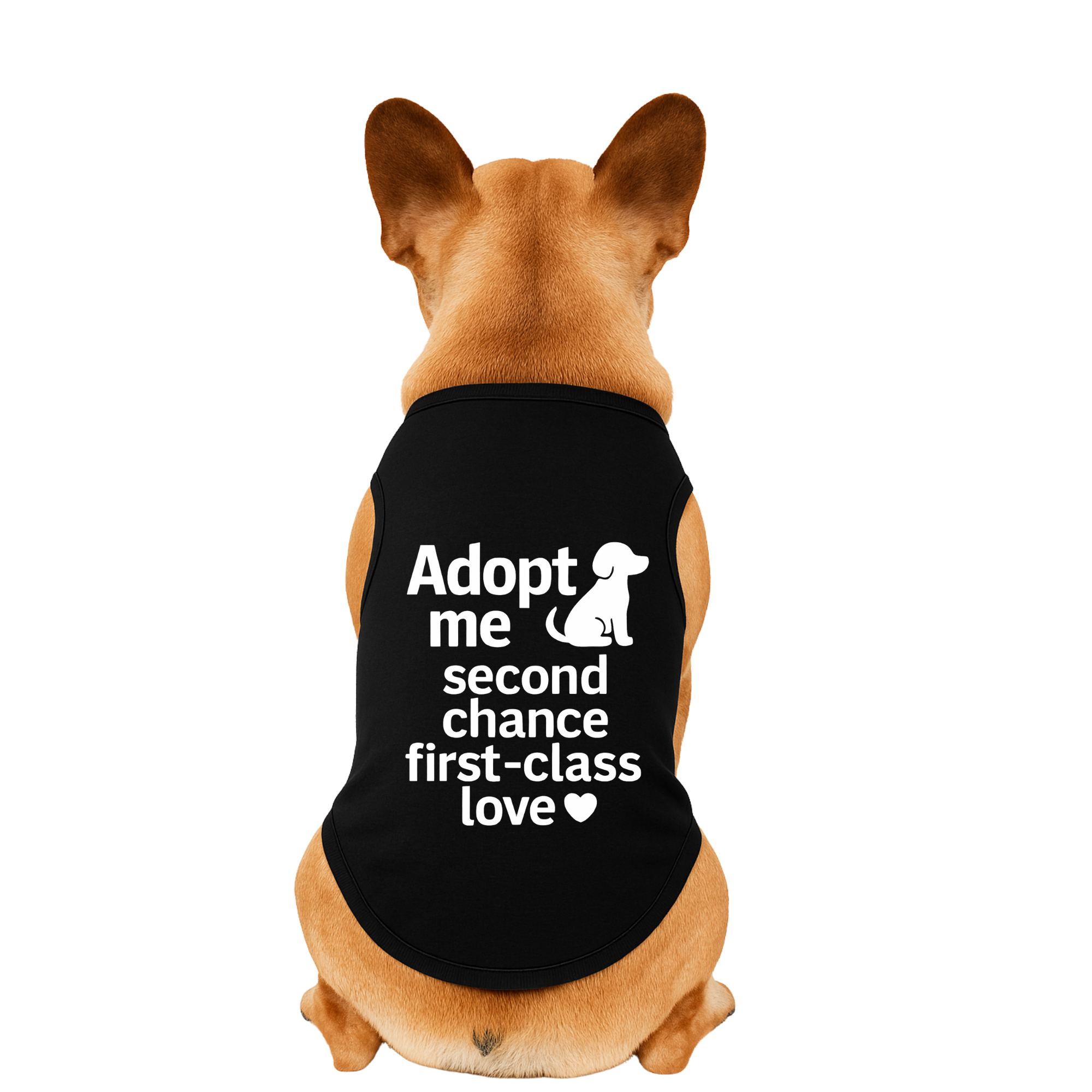 Adopt Me — Second Chance, First-Class Love