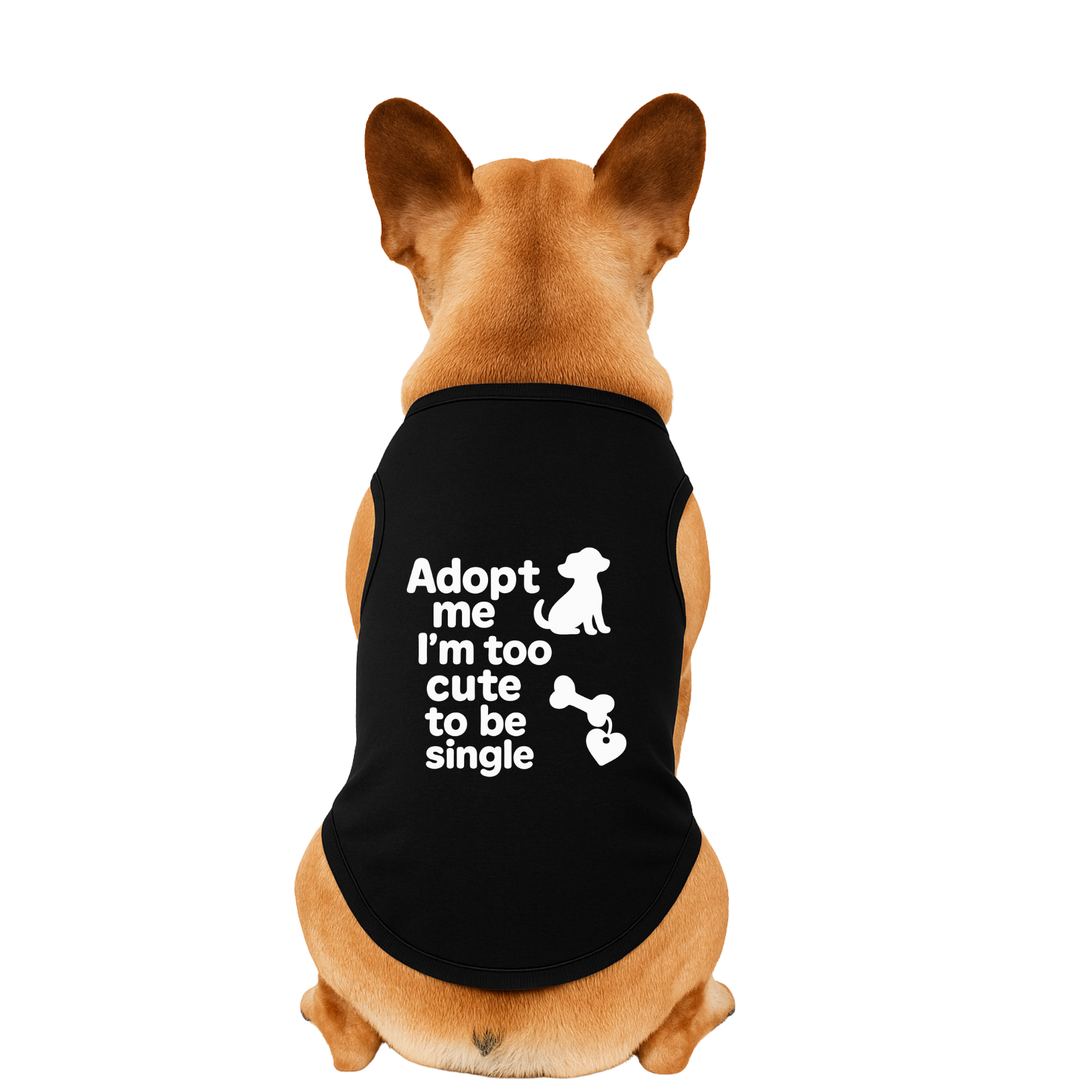 Adopt Me — Too cute to be single