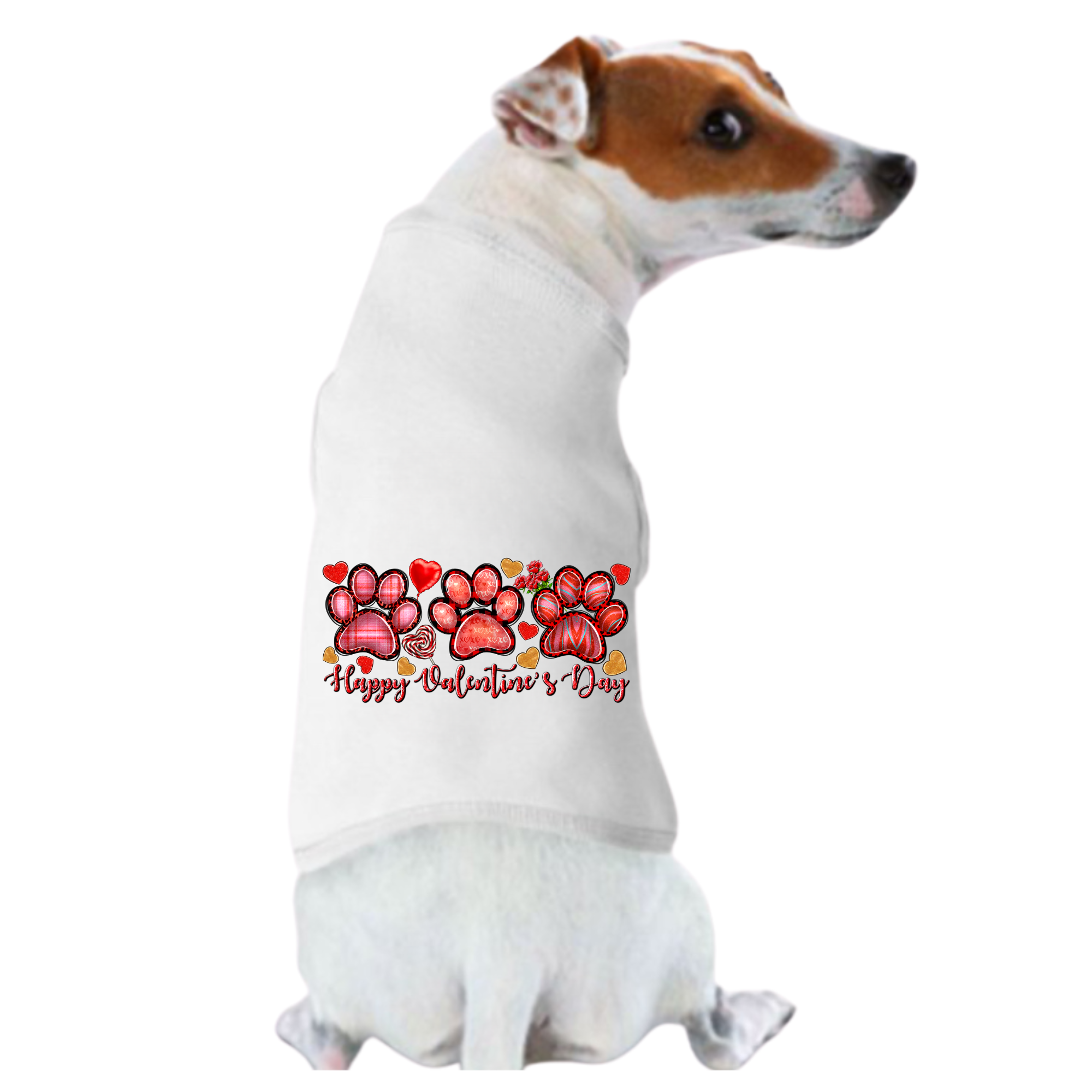 Valentine's Day Funny Shirt: It's Valentine's Day